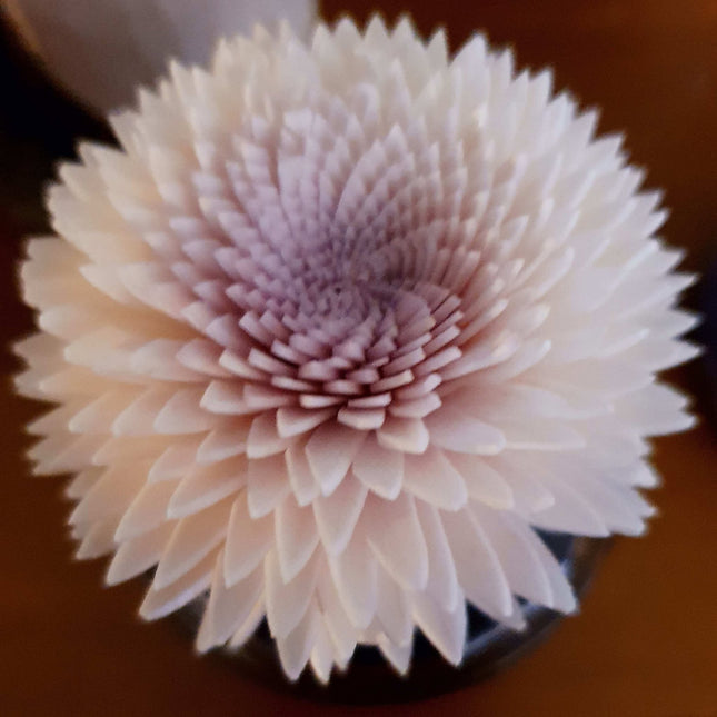 Colour Changing Reed diffuser with Flowers - Inspired options 100ml