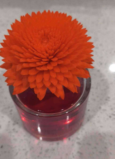 Colour Changing Reed diffuser with Flowers - options 100ml