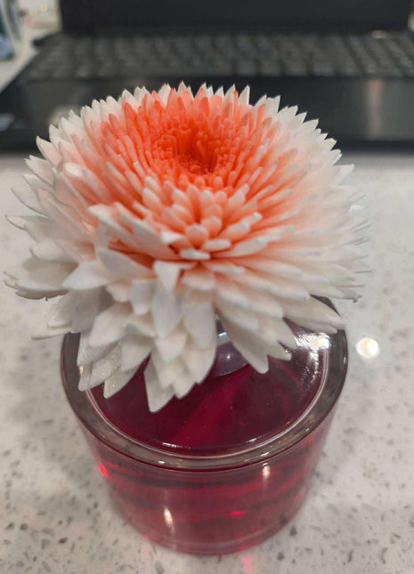 Colour Changing Reed diffuser with Flowers - options 100ml
