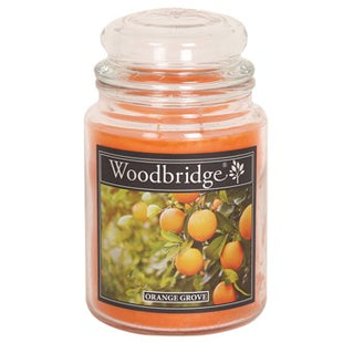 Orange Grove Large Scented Candle Jar